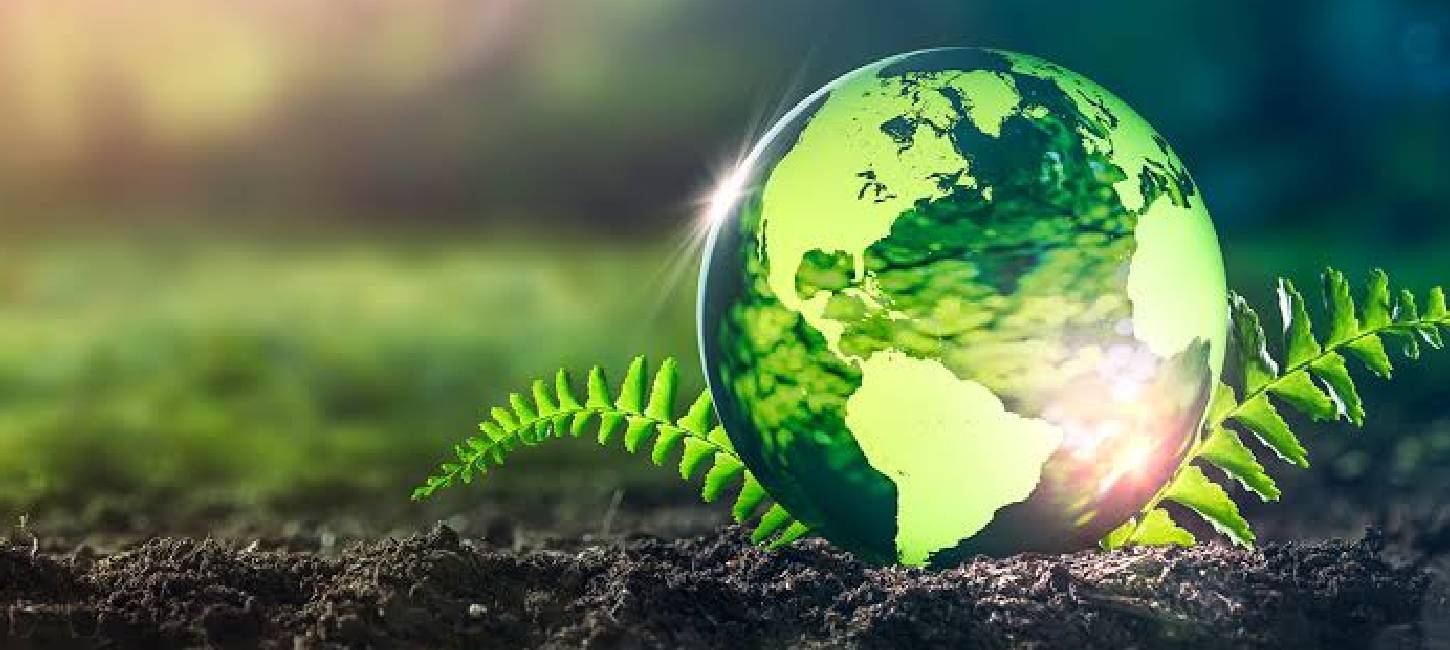Sky Reva International - From India to the World